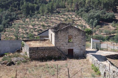 Erhvervsejendom i Tabuaco, Viseu, Tabuaco - € 130.000 | Ref: 125880 - foto 19