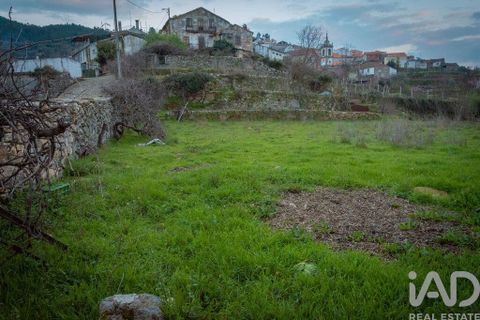 Erhvervsejendom i Tabuaco, Viseu, Tabuaco - € 130.000 | Ref: 125880 - foto 22
