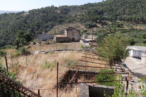Erhvervsejendom i Tabuaco, Viseu, Tabuaco - € 130.000 | Ref: 125880 - foto 24