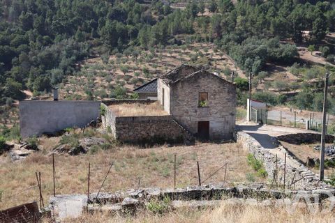 Erhvervsejendom i Tabuaco, Viseu, Tabuaco - € 130.000 | Ref: 125880 - foto 25