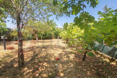 Villa i Pontecorvo, Frosinone, Pontecorvo - € 187.000 | Ref: AC99-149-1646 - foto 7
