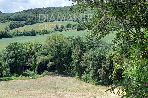 Helårsgrund i Cinigiano, Grosseto, Cinigiano - € 270.000 | Ref: GR1802 - foto 2