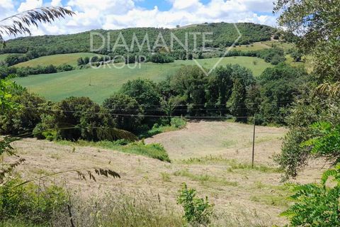 Helårsgrund i Cinigiano, Grosseto, Cinigiano - € 270.000 | Ref: GR1802 - foto 5