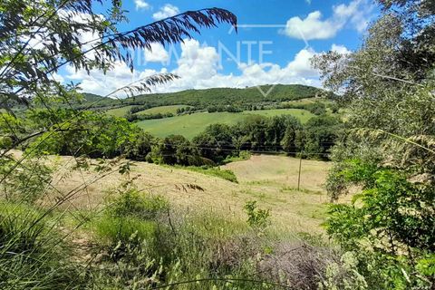 Helårsgrund i Cinigiano, Grosseto, Cinigiano - € 270.000 | Ref: GR1802 - foto 6