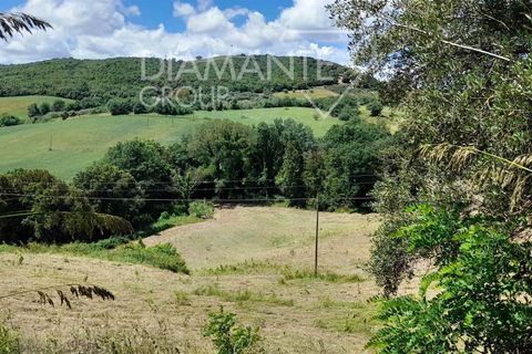 Helårsgrund i Cinigiano, Grosseto, Cinigiano - € 270.000 | Ref: GR1802 - foto 8
