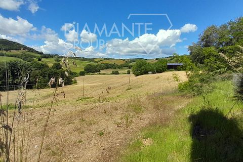 Helårsgrund i Cinigiano, Grosseto, Cinigiano - € 270.000 | Ref: GR1802 - foto 10