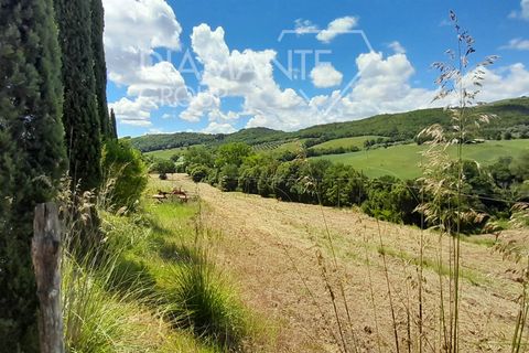 Helårsgrund i Cinigiano, Grosseto, Cinigiano - € 270.000 | Ref: GR1802 - foto 11