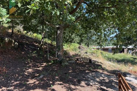 Villa a Ponte de Lima, Viana do Castelo, Ponte de Lima - € 1.700/mes | Ref: PTL-001-066 - foto 28