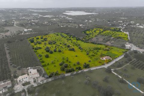 Byhus i Tavira, Faro, Tavira - € 1.900.000 | Ref: 108739 - foto 10