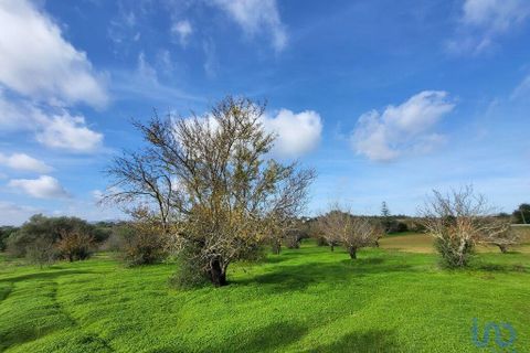 Byhus i Tavira, Faro, Tavira - € 1.900.000 | Ref: 108739 - foto 14