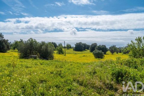 Byhus i Tavira, Faro, Tavira - € 1.900.000 | Ref: 108739 - foto 18