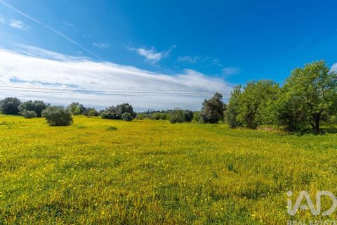 Byhus i Tavira, Faro, Tavira - € 1.900.000 | Ref: 108739 - foto 19