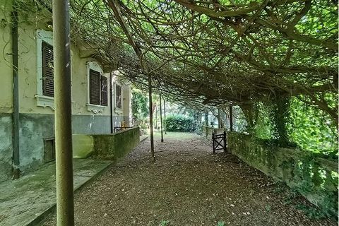 Landejendom i Asti, Asti, Asti - € 995.000 | Ref: AST011 - foto 47