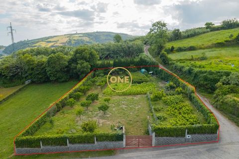 Terra a Lagoa, Sao Miguel, Lagoa - € 120.000 | Ref: ONE401680-20 - foto 4