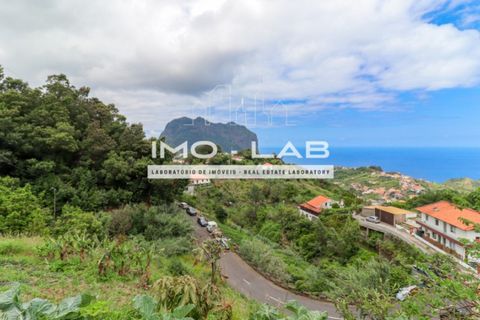 Helårsgrund i Machico, Madeira, Machico - € 85.000 | Ref: TER_318 - foto 8