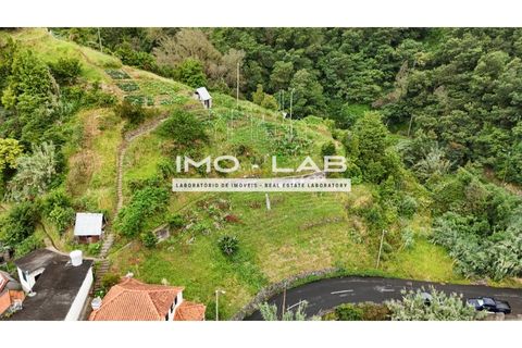 Helårsgrund i Machico, Madeira, Machico - € 85.000 | Ref: TER_318 - foto 9