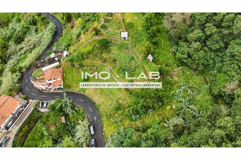 Helårsgrund i Machico, Madeira, Machico - € 85.000 | Ref: TER_318 - foto 12