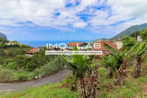 Helårsgrund i Machico, Madeira, Machico - € 85.000 | Ref: TER_318 - foto 19