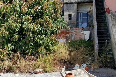Erhvervsejendom i Mafra, Lisbon, Mafra - € 1.100.000 | Ref: ptm4497 - foto 29