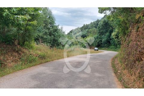 Terra a Penacova, Coimbra, Penacova - € 160.000 | Ref: cbr3313 - foto 3