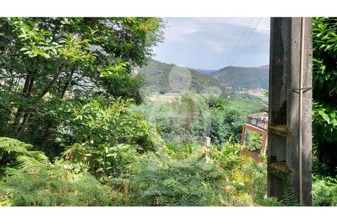 Terra a Penacova, Coimbra, Penacova - € 160.000 | Ref: cbr3313 - foto 4