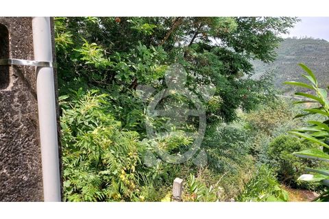 Terra a Penacova, Coimbra, Penacova - € 160.000 | Ref: cbr3313 - foto 5