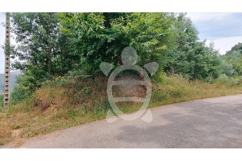 Terra a Penacova, Coimbra, Penacova - € 160.000 | Ref: cbr3313 - foto 6