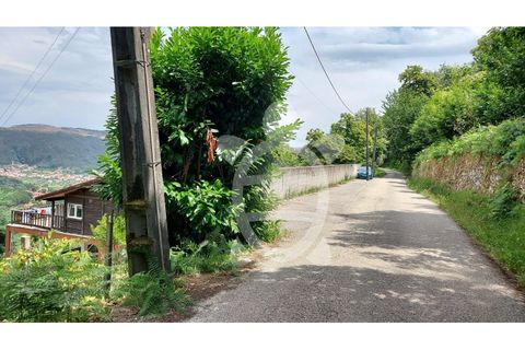 Terra a Penacova, Coimbra, Penacova - € 160.000 | Ref: cbr3313 - foto 9