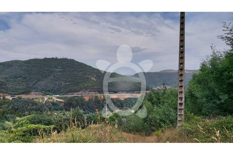 Terra a Penacova, Coimbra, Penacova - € 160.000 | Ref: cbr3313 - foto 8