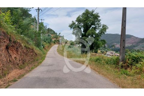 Terra a Penacova, Coimbra, Penacova - € 160.000 | Ref: cbr3313 - foto 11