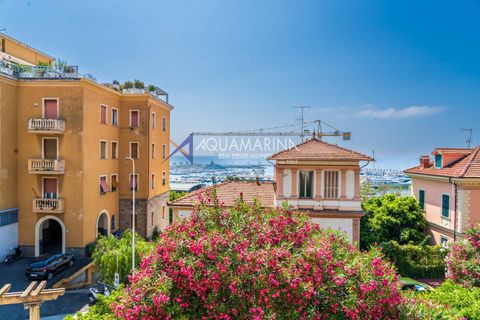 Villa i Imperia, Imperia, Imperia - € 1.350.000 | Ref: 13986 - foto 5