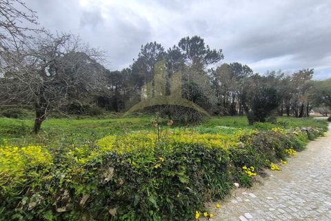 Helårsgrund i Viana do Castelo, Viana do Castelo, Viana do Castelo - € 109.000 | Ref: SG-0076 - foto 1