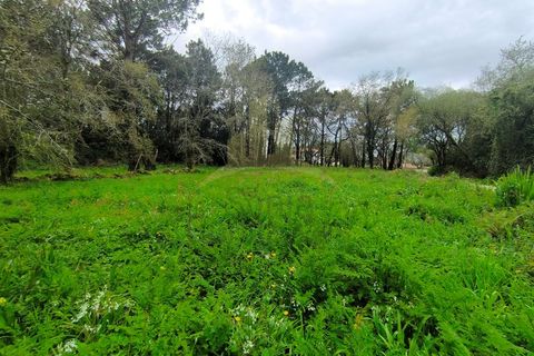 Helårsgrund i Viana do Castelo, Viana do Castelo, Viana do Castelo - € 109.000 | Ref: SG-0076 - foto 3