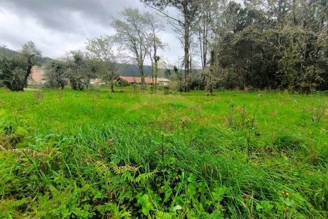Helårsgrund i Viana do Castelo, Viana do Castelo, Viana do Castelo - € 109.000 | Ref: SG-0076 - foto 5