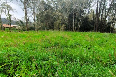 Helårsgrund i Viana do Castelo, Viana do Castelo, Viana do Castelo - € 109.000 | Ref: SG-0076 - foto 6