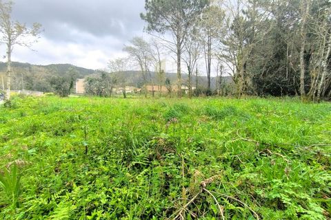 Helårsgrund i Viana do Castelo, Viana do Castelo, Viana do Castelo - € 109.000 | Ref: SG-0076 - foto 7