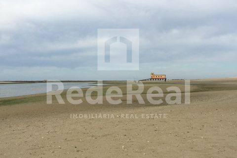 Byhus i Moncarapacho, Faro, Moncarapacho - € 550.000 | Ref: 022250050 - foto 33