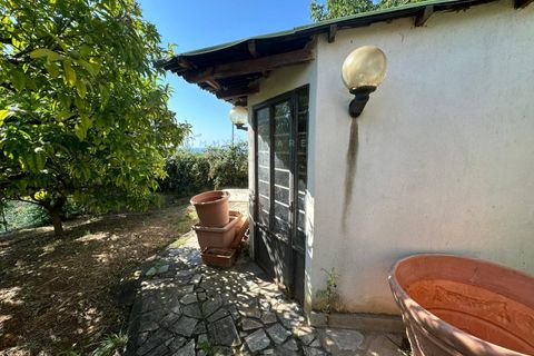 Villa i Boissano, Savona, Boissano - € 420.000 | Ref: 952 - foto 18