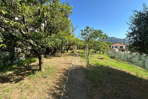 Villa i Boissano, Savona, Boissano - € 420.000 | Ref: 952 - foto 21
