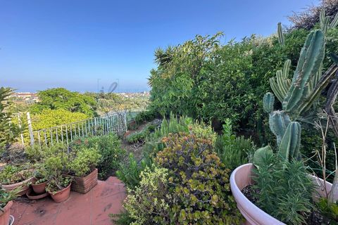 Villa i Boissano, Savona, Boissano - € 420.000 | Ref: 952 - foto 42