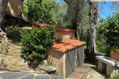 Villa i Camaiore, Lucca, Camaiore - € 615.000 | Ref: fdm549 - foto 6