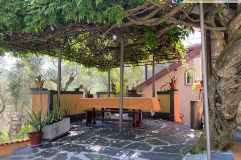Villa i Camaiore, Lucca, Camaiore - € 615.000 | Ref: fdm549 - foto 31