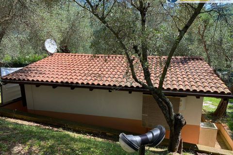 Villa i Camaiore, Lucca, Camaiore - € 615.000 | Ref: fdm549 - foto 41