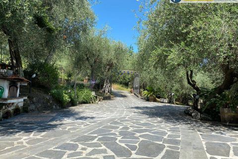 Villa i Camaiore, Lucca, Camaiore - € 615.000 | Ref: fdm549 - foto 42