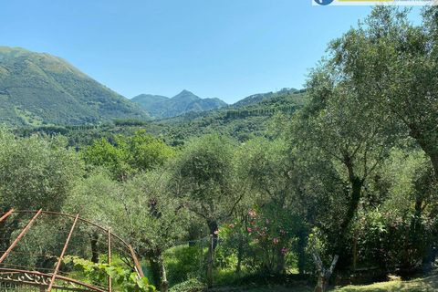 Villa i Camaiore, Lucca, Camaiore - € 615.000 | Ref: fdm549 - foto 43