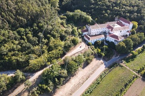 Farm i Coimbra, Coimbra, Coimbra - € 3.950.000 | Ref: LANE_7193 - foto 3