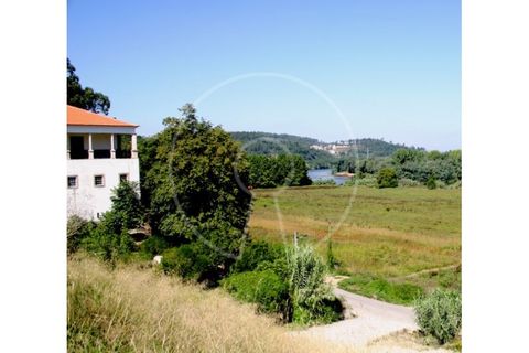 Farm i Coimbra, Coimbra, Coimbra - € 3.950.000 | Ref: LANE_7193 - foto 16