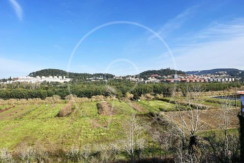 Farm i Coimbra, Coimbra, Coimbra - € 3.950.000 | Ref: LANE_7193 - foto 18