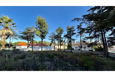 Helårsgrund i Oeiras, Lisbon, Oeiras - € 2.000.000 | Ref: TER_554 - foto 5