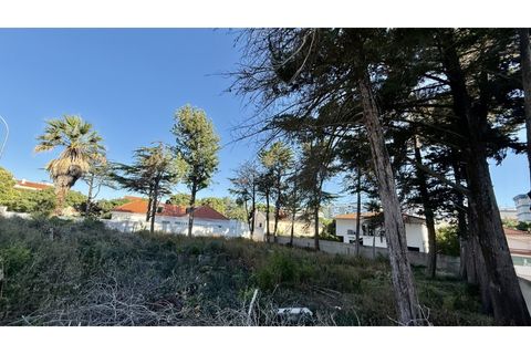 Helårsgrund i Oeiras, Lisbon, Oeiras - € 2.000.000 | Ref: TER_554 - foto 6
